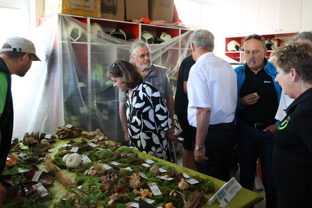 Kulturna prireditev Na lepi Menišiji 57 Foto Ljubo Vukelič